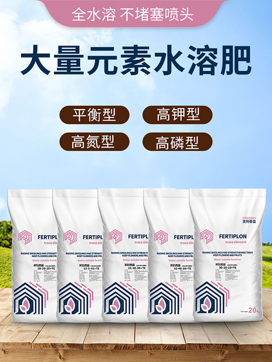 嫻鋒姤1.jpg 嫻鋒姤1.jpg