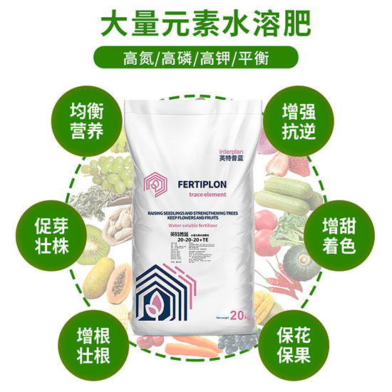 涓誨浘-2浣滅敤.jpg 涓誨浘-2浣滅敤.jpg