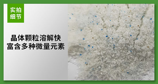 瀹炴媿緇嗚妭.jpg 瀹炴媿緇嗚妭.jpg