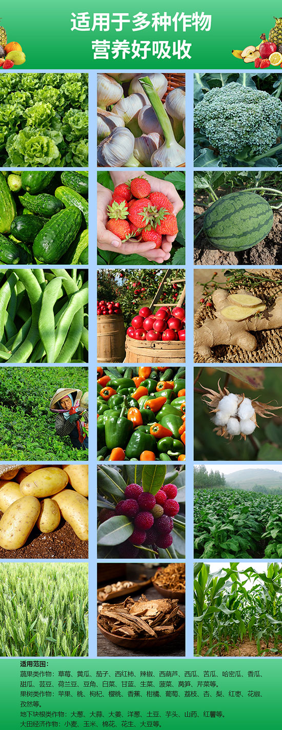 閫傚簲鑼冨洿1.jpg 閫傚簲鑼冨洿1.jpg