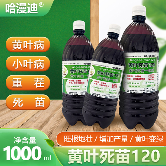 榛勫彾姝昏嫍120-鍝堟極榪?閼妞嶄繚.jpg 榛勫彾姝昏嫍120-鍝堟極榪?閼妞嶄繚.jpg