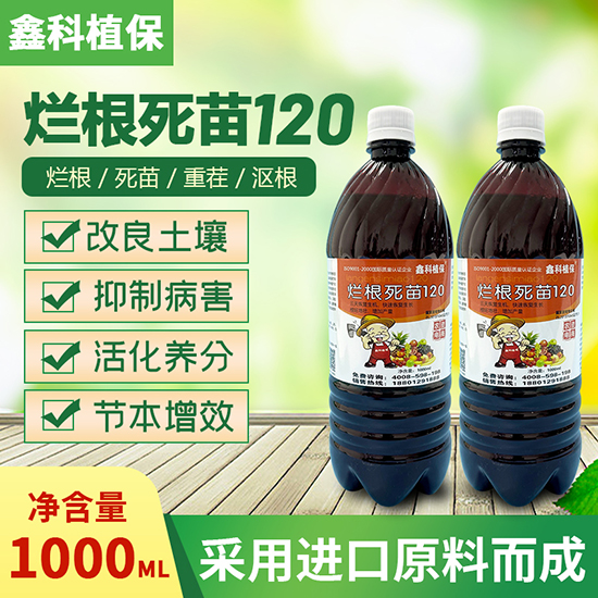 鏉鑿屽墏-鐑傛牴姝昏嫍120-閼妞嶄繚.jpg 鏉鑿屽墏-鐑傛牴姝昏嫍120-閼妞嶄繚.jpg