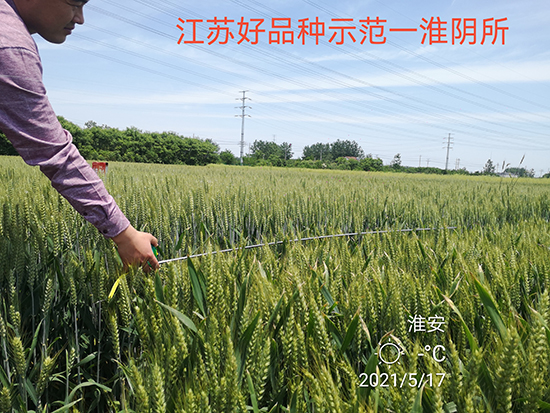 ����100-С���N��-���÷N�I(y��)