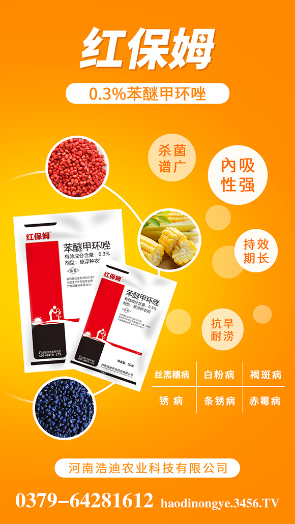 homngbao.jpg homngbao.jpg