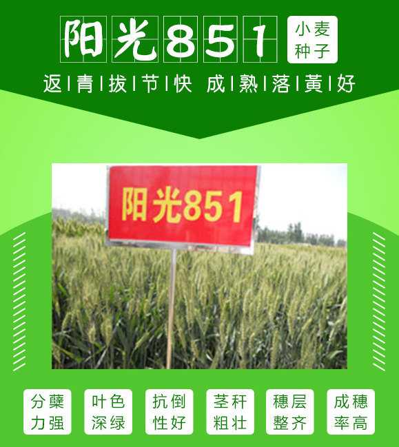 鎼滅嫍鎴浘22騫?5鏈?1鏃?657_1.png 鎼滅嫍鎴浘22騫?5鏈?1鏃?657_1.png