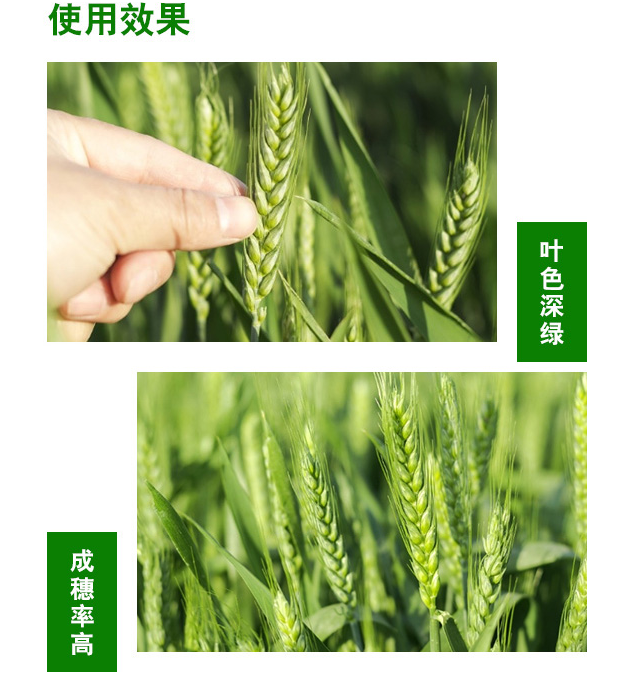 鎼滅嫍鎴浘22騫?5鏈?1鏃?658_3.png 鎼滅嫍鎴浘22騫?5鏈?1鏃?658_3.png