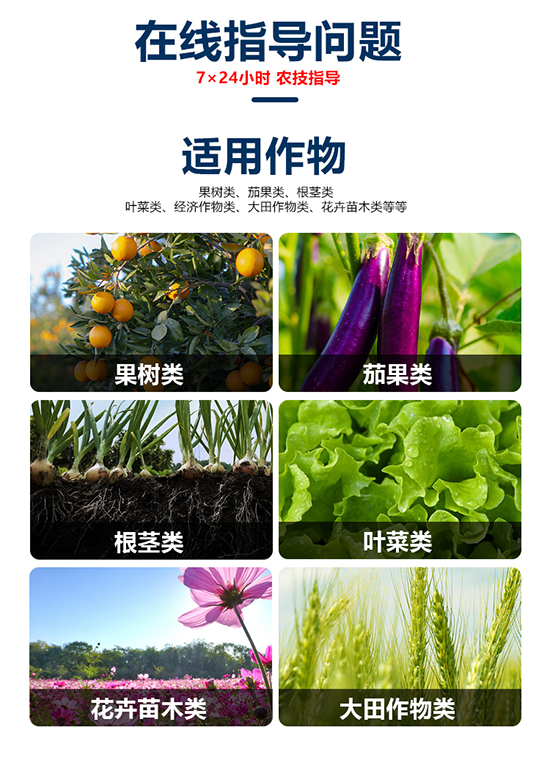 鏈爣棰?1_06.jpg 鏈爣棰?1_06.jpg