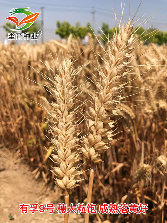 寰俊鍥劇墖_20220625103647.jpg 寰俊鍥劇墖_20220625103647.jpg