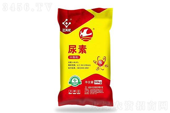 2022-8-3�������؃r�������rһ�[