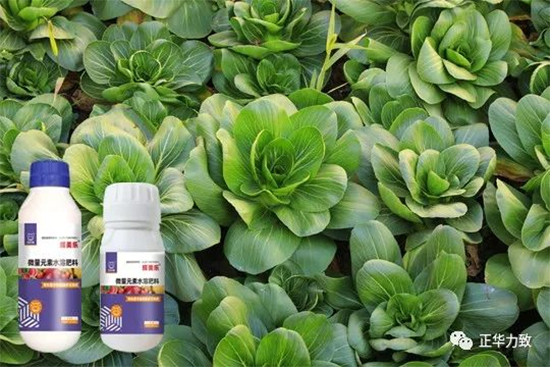 鏈爣棰?3.jpg 鏈爣棰?3.jpg