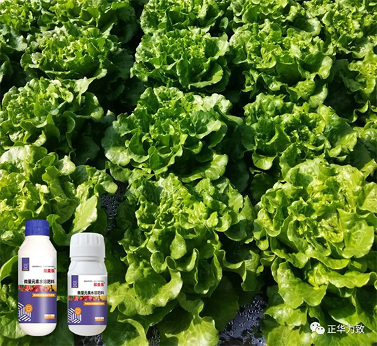 鏈爣棰?6.jpg 鏈爣棰?6.jpg