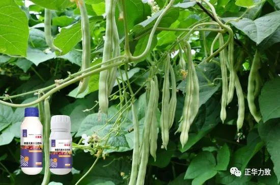 鏈爣棰?10.jpg 鏈爣棰?10.jpg