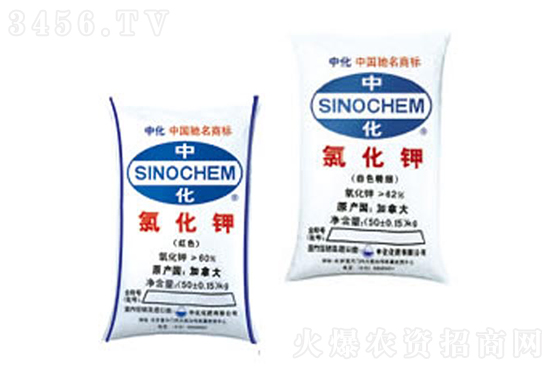 �����Ȼ�⛃r���rһ�[2022-10-26