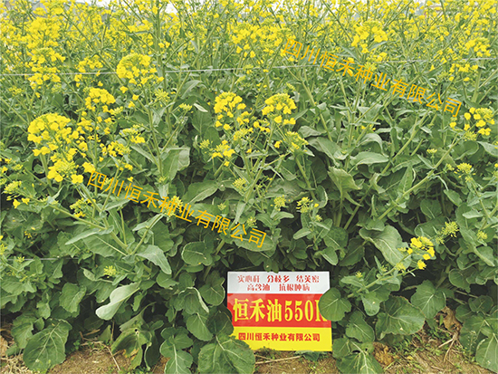 鏈爣棰?1.jpg 鏈爣棰?1.jpg