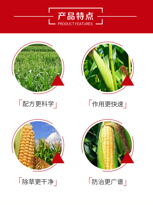 30%硝煙·莠去津-鄭州鼎來瑞-農(nóng)資_03.jpg 30%硝煙·莠去津-鄭州鼎來瑞-農(nóng)資_03.jpg