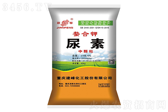 2023-2-13���؃r�������߄ݷ���