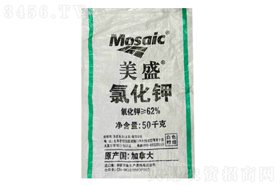 ����⛷ʃr�������r2023��2��15��