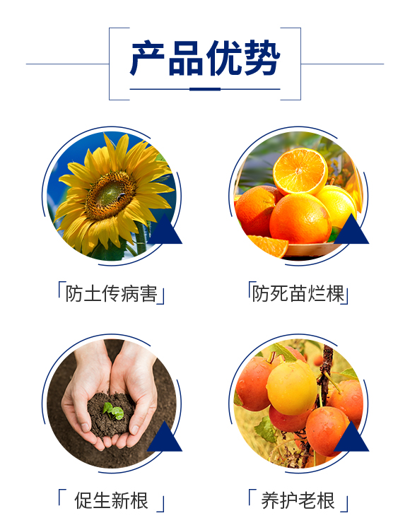 娌沖崡鑺兘鍐滀笟縐戞妧鏈夐檺鍏徃_03.jpg 娌沖崡鑺兘鍐滀笟縐戞妧鏈夐檺鍏徃_03.jpg