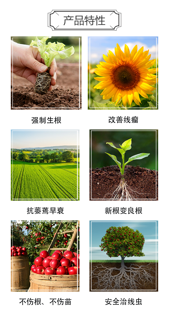 涔愰櫟甯?jìng)鍐滃崥澹尕滆偉鏈夐檺鍏徃_03.jpg 涔愰櫟甯?jìng)鍐滃崥澹尕滆偉鏈夐檺鍏徃_03.jpg