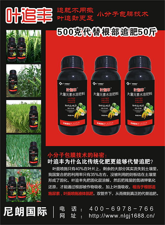 81b344b062528ee9e68f31656403a56c_.jpg 81b344b062528ee9e68f31656403a56c_.jpg