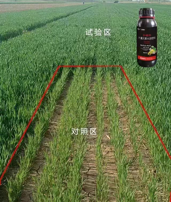 70470616ccfb9dd90b6328425799e5dc_.jpg 70470616ccfb9dd90b6328425799e5dc_.jpg