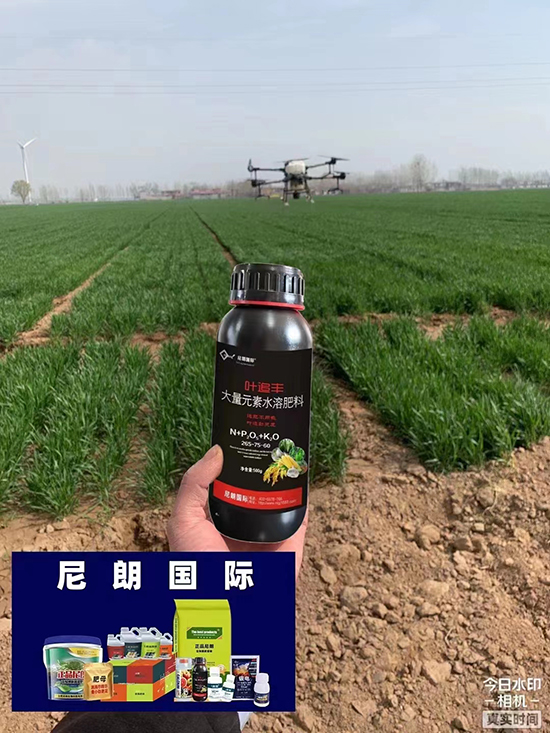 eadda834d78d57f327606daf3adbc38b_.jpg eadda834d78d57f327606daf3adbc38b_.jpg