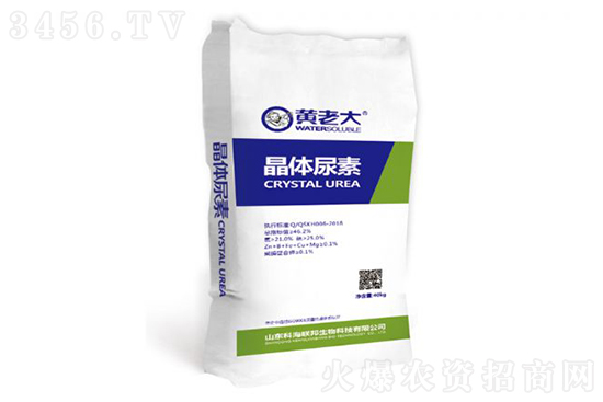 2023-3-11�������؃r�������rһ�[