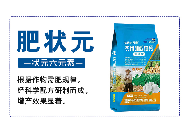 鑲ョ姸鍏冨姞闀佸瀷鍐滅敤紜濋吀閾甸挋_03.jpg 鑲ョ姸鍏冨姞闀佸瀷鍐滅敤紜濋吀閾甸挋_03.jpg