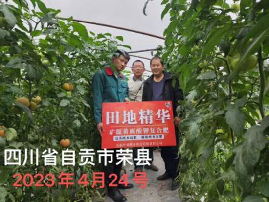 鏈爣棰?3.jpg 鏈爣棰?3.jpg