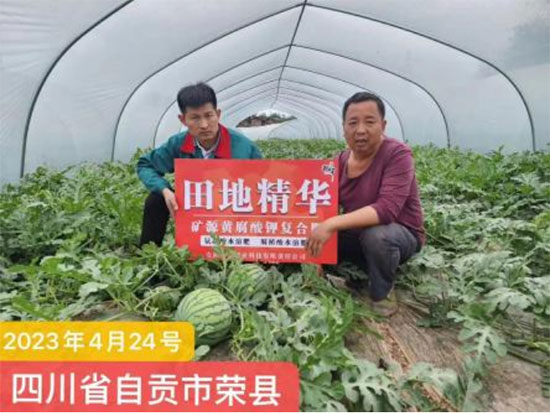 鏈爣棰?4.jpg 鏈爣棰?4.jpg