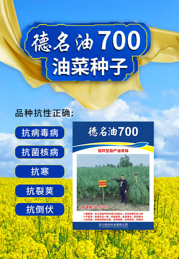 鍥涘窛寰峰悕縐嶄笟鏈夐檺鍏徃_02.jpg 鍥涘窛寰峰悕縐嶄笟鏈夐檺鍏徃_02.jpg