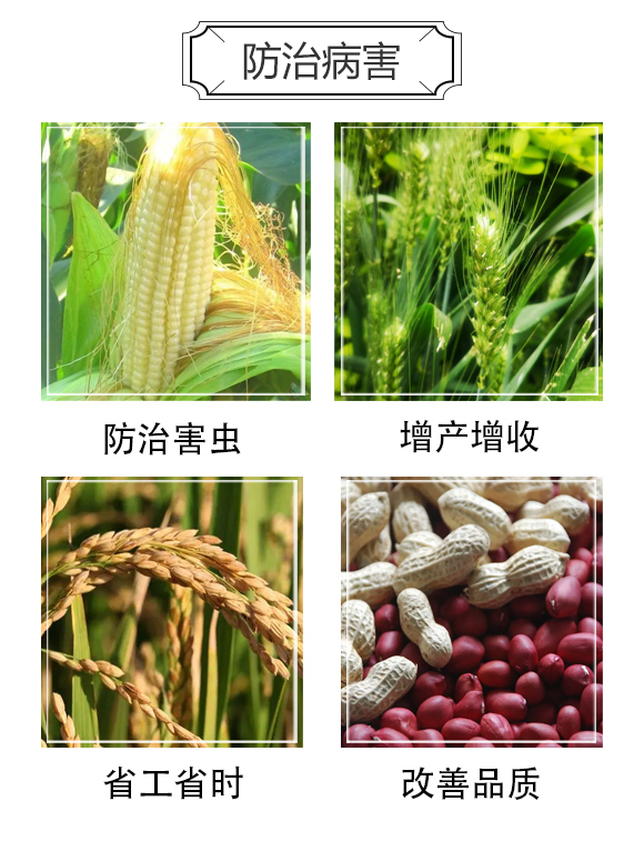 涓囩墿搴瘋寔鑽偉-澶╂鼎涓夌_03.jpg 涓囩墿搴瘋寔鑽偉-澶╂鼎涓夌_03.jpg