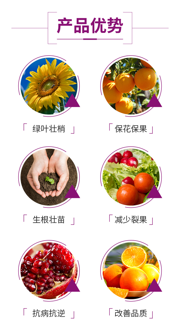 娌沖崡鍔犺胺娌冨啘涓氱鎶€鏈夐檺鍏徃_03.jpg 娌沖崡鍔犺胺娌冨啘涓氱鎶€鏈夐檺鍏徃_03.jpg