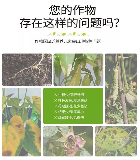 8.webp.jpg 8.webp.jpg