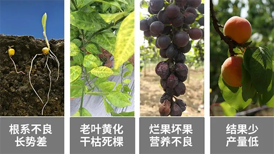 鏈爣棰?1.jpg 鏈爣棰?1.jpg