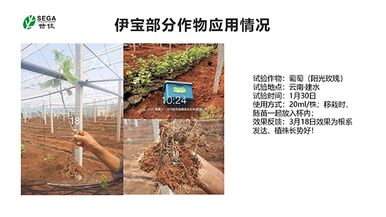 涓栦匠浼婂疂浜у搧綆€浠?-鍏徃浠嬬粛璁哥ゥ鍧34.jpg 涓栦匠浼婂疂浜у搧綆€浠?-鍏徃浠嬬粛璁哥ゥ鍧34.jpg