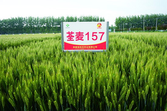 1-24110609223M28~1.jpg 1-24110609223M28~1.jpg