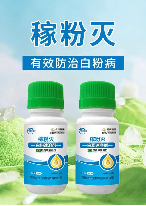 鐧界矇閫熸憾鍓?紼肩矇鐏?娌冨湡鐢熺墿_01.jpg 鐧界矇閫熸憾鍓?紼肩矇鐏?娌冨湡鐢熺墿_01.jpg