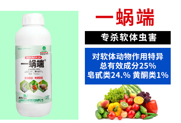 涓€铚楃錛堝杞綋鍔ㄧ墿浣滅敤鐗瑰紓錛?寰峰▉鏈崏_02.jpg 涓€铚楃錛堝杞綋鍔ㄧ墿浣滅敤鐗瑰紓錛?寰峰▉鏈崏_02.jpg