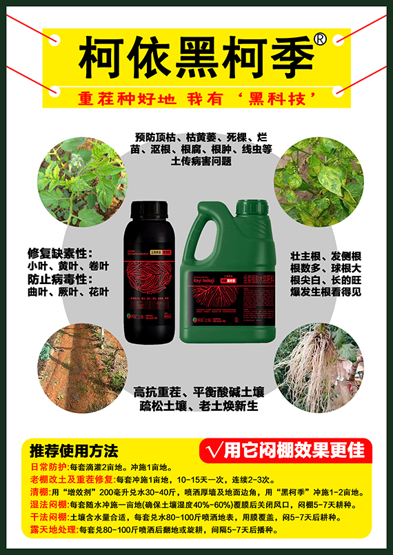 寰俊鍥劇墖_20250614153120.jpg 寰俊鍥劇墖_20250614153120.jpg