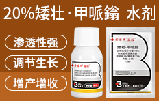 ���ϰ����r(n��ng)�r(n��ng)�I(y��)�Ƽ����޹�˾