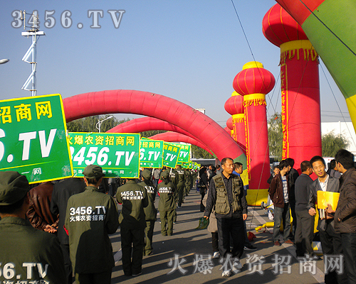 �F(tu��n)�Y(ji��)���҂�������