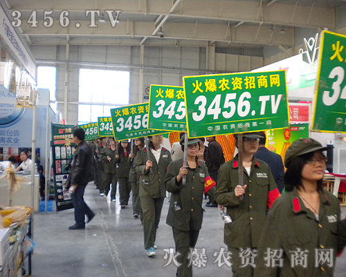 �����̣���������