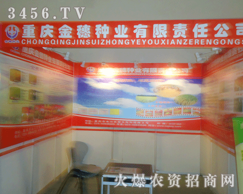 �ؑc����N�I(y��)����؟(z��)�ι�˾