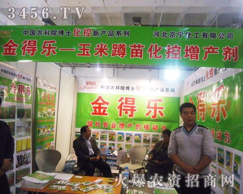 �ӱ���������