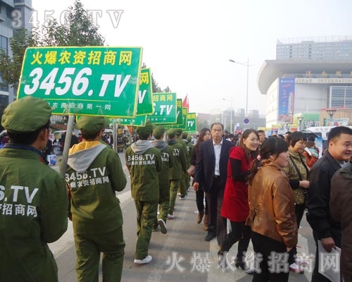 �څ������������𱬾W(w��ng)��һ��(g��)��Ԓ