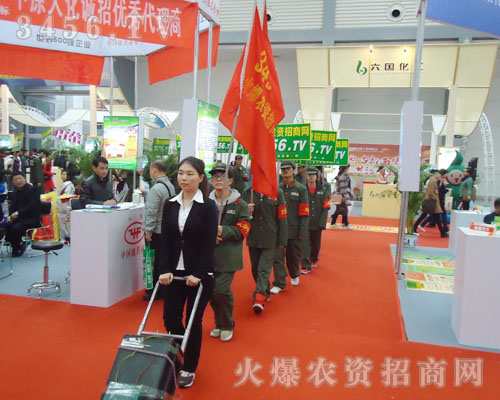 ����ͦ����Ӣ�˲��l(f��)