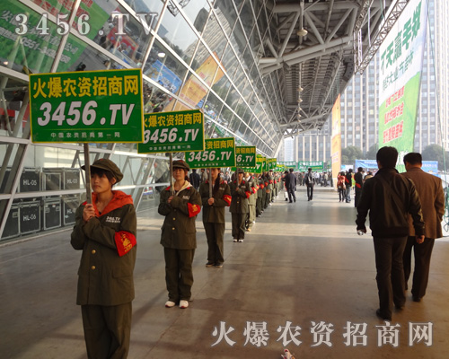 �𱬾W(w��ng)��?y��n)鲻и�Ċ^�����l(f��)չ�Ѵ���