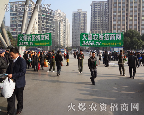 �͑���Ч�����҂���������