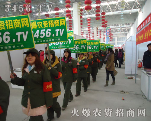 ��������ꠟo���ܔ�